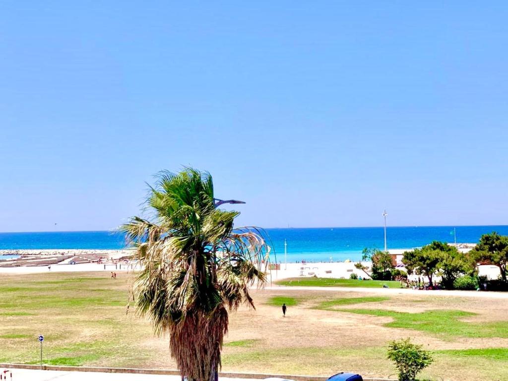 un palmier sur une plage avec l'océan en arrière-plan dans l'établissement Sea view appartment, à Marseille