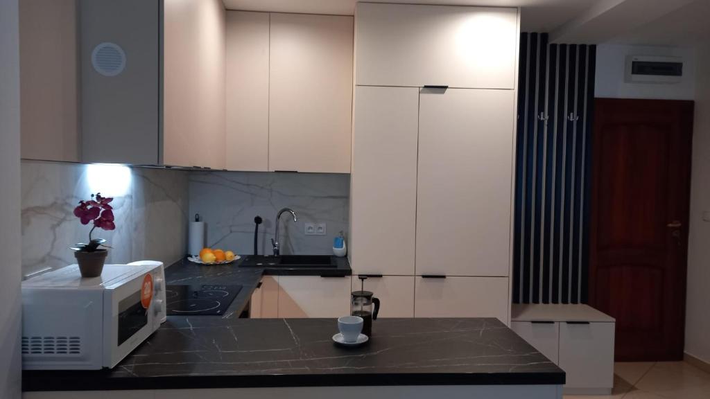 Kuchyň nebo kuchyňský kout v ubytování Blue Mare - Duży balkon