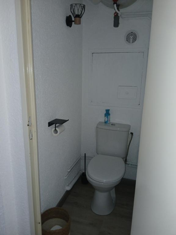 Koupelna v ubytování Appartement chaleureux.