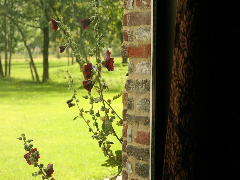 Zahrada ubytování Holiday Home in Beernem near Bruges