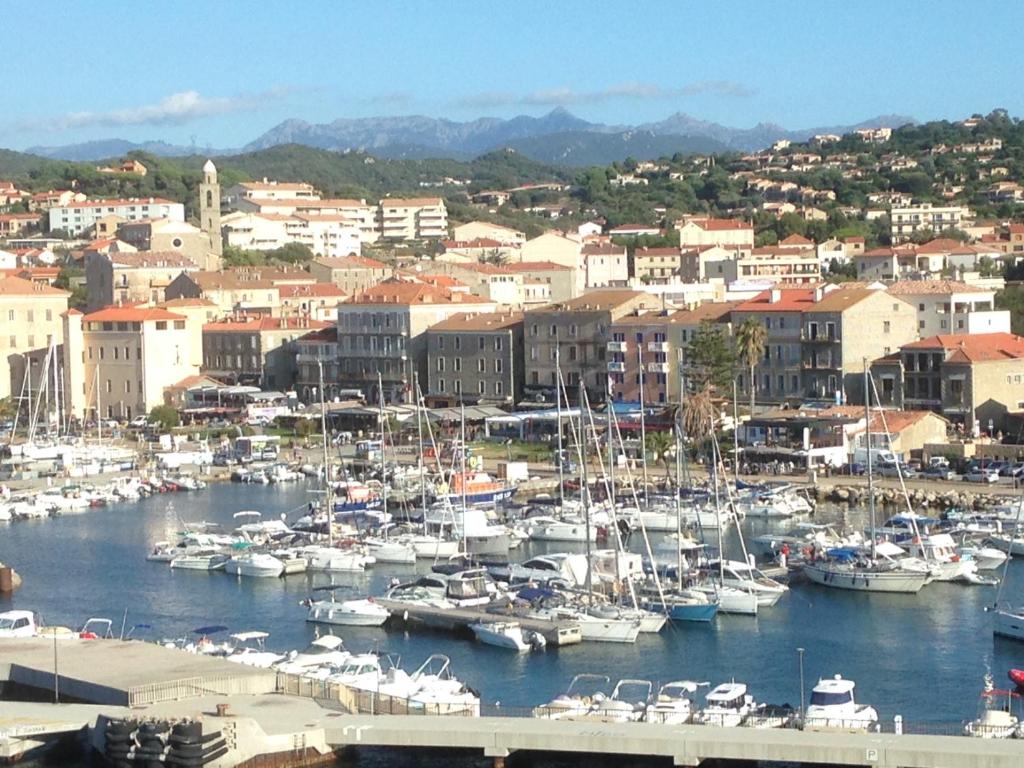 un groupe de bateaux amarrés dans un port dans l'établissement A casa, à Propriano