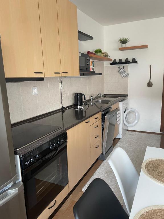 Kuchyň nebo kuchyňský kout v ubytování Apartmán u Poustevníka
