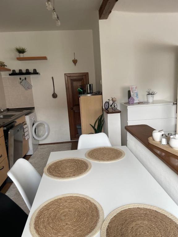 Kuchyň nebo kuchyňský kout v ubytování Apartmán u Poustevníka