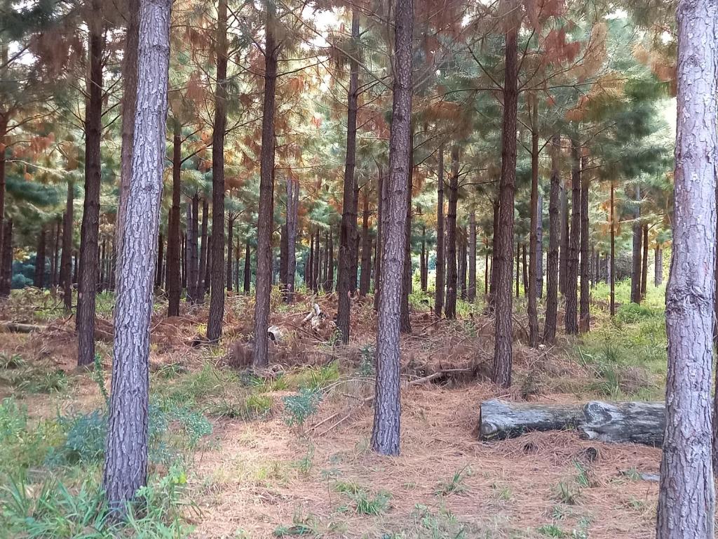 Příroda nedaleko penzionu