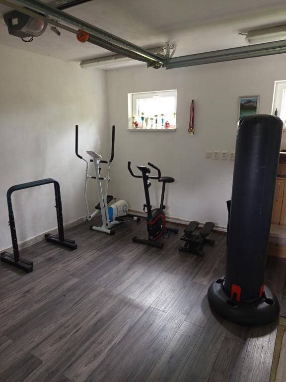 Fitness centrum a/nebo fitness zařízení v ubytování Chata Žár