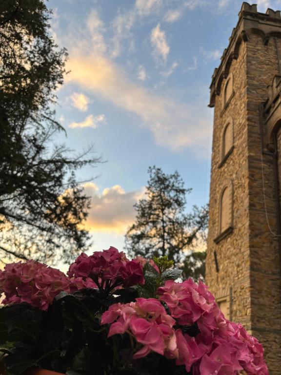 Vonkajšia záhrada v ubytovaní CASA LA TORRE un castello alle porte di Firenze