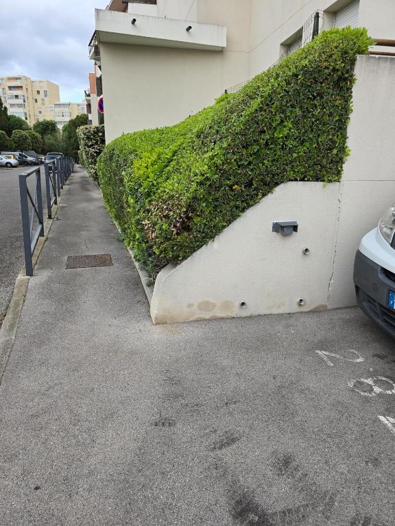 un lierre vert sur le côté d'un bâtiment dans l'établissement appartement, à Marseille