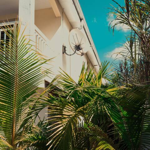 Fotografie z fotogalerie ubytování Rubis Appartement - Magnifique F3 v destinaci Sainte-Anne