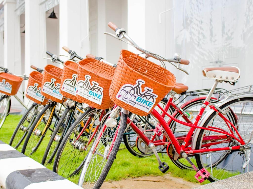 Attività di ciclismo presso l'hotel o nelle vicinanze