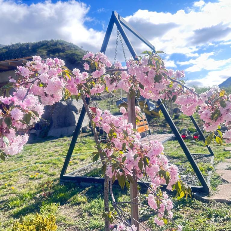 Zahrada ubytování Vardzia Glamping