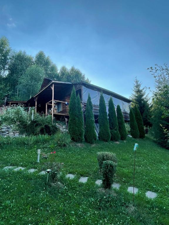 a house in a field with trees in front of it at Cabana Dor De Munte in Muntele Rece