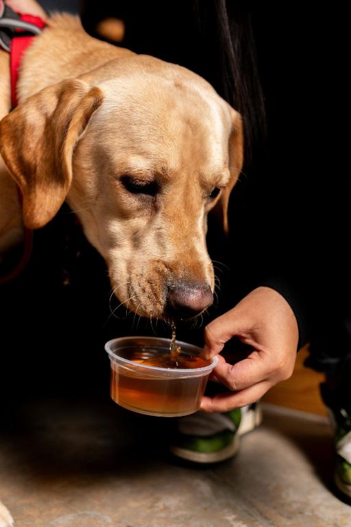 Moxy London Excel - Resim 20