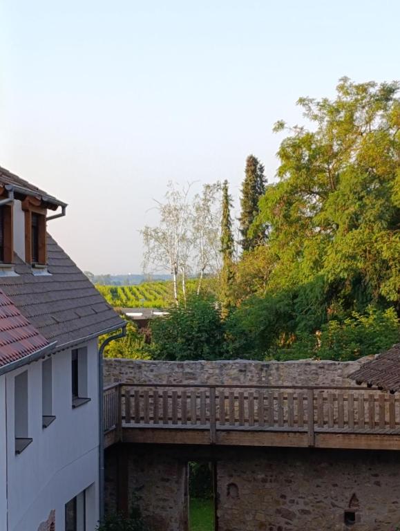 Le Coin Zen - Parking, Borne VE et Fibre – photo 23