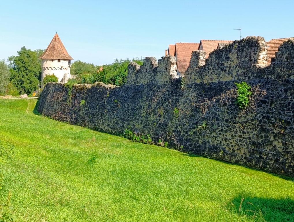 Le Coin Zen - Parking, Borne VE et Fibre – photo 10