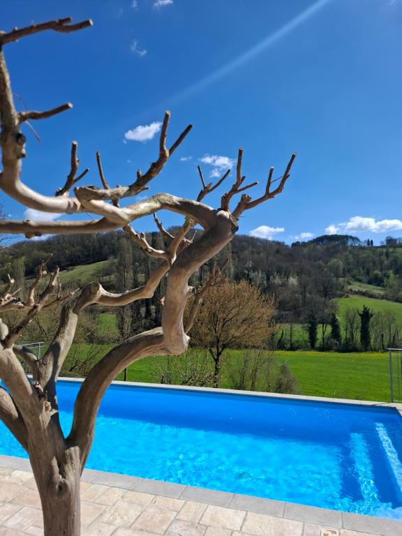 Bazén v ubytování B&B VILLA GINEVRA nebo v jeho okolí