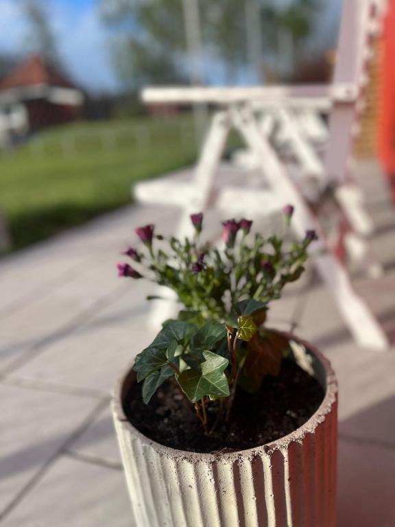 Zahrada ubytování Guest house in Örebro
