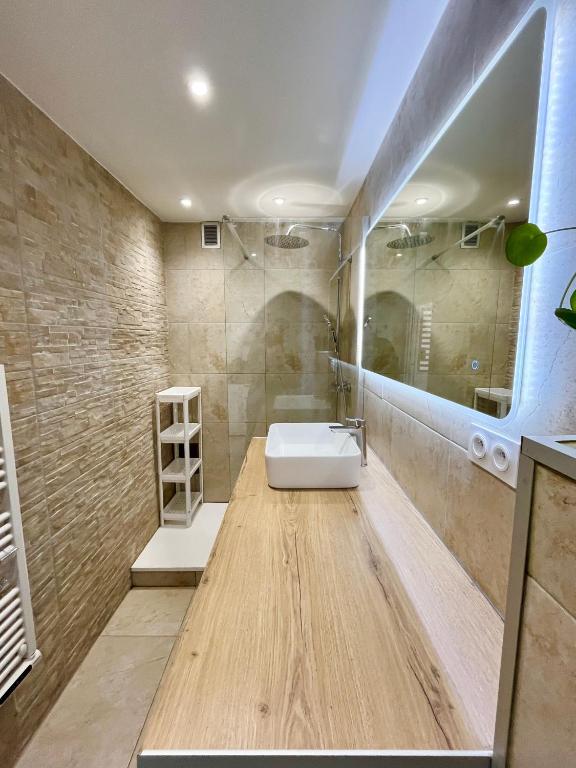 une salle de bain avec un lavabo blanc et une douche dans l'établissement Le Chasse Royal - Calme & Lumineux - Centre du Mans - Parking Privé, au Mans