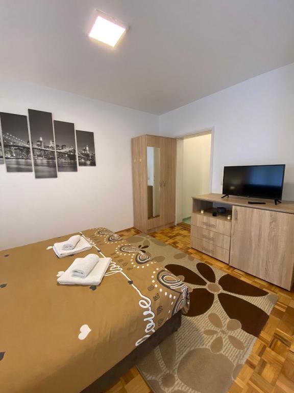 TV a/nebo společenská místnost v ubytování Apartmani Milojić