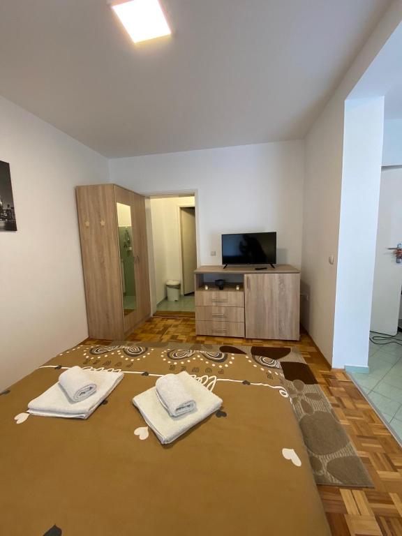 TV a/nebo společenská místnost v ubytování Apartmani Milojić