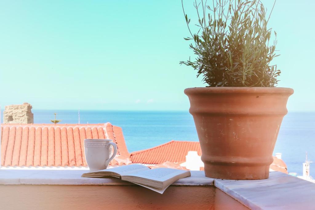 a plant and a cup and a book on a balcony at Camara Homes in Andros