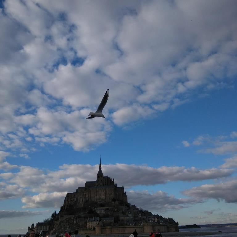 un oiseau volant dans le ciel au-dessus d'une île dans l'établissement La chambre de Carole, à Aucey-la-Plaine