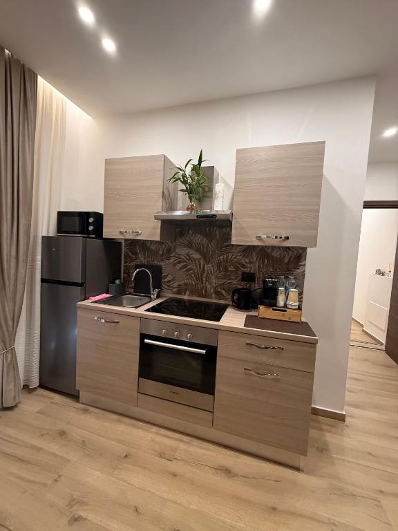 Kuchyň nebo kuchyňský kout v ubytování Bala Dream House