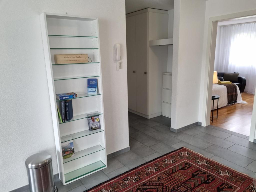 Knihovna v apartmánu