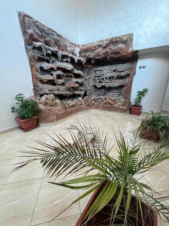 Fotografie z fotogalerie ubytování Perfect Cozy Apartment in City Center Hamrya v destinaci Meknes