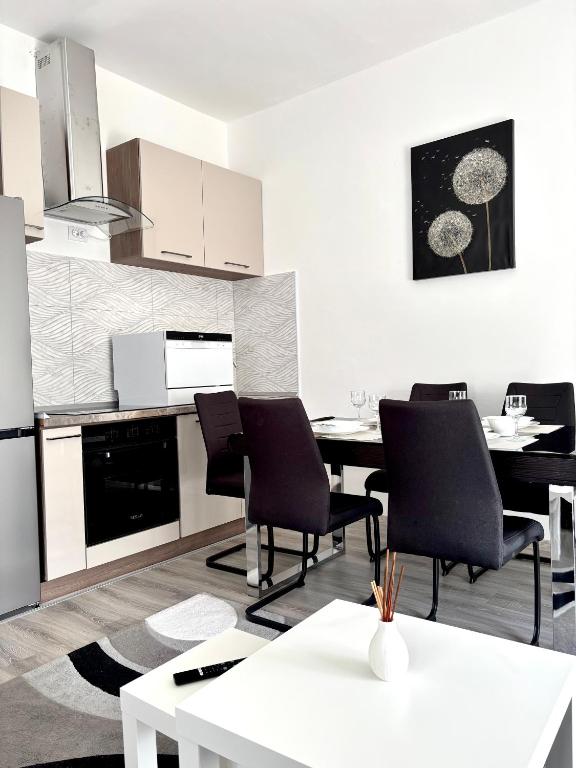 Kuchyň nebo kuchyňský kout v ubytování Apartman Djordjevic