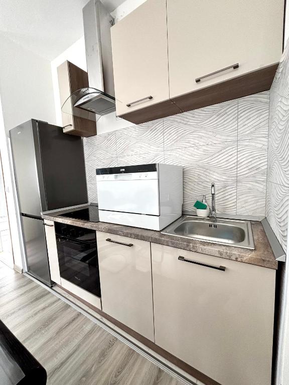 Kuchyň nebo kuchyňský kout v ubytování Apartman Djordjevic