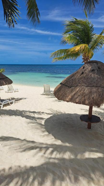 a beach with a straw umbrella and chairs and the ocean at Departamento frente al Mar - Kiara in Cancún