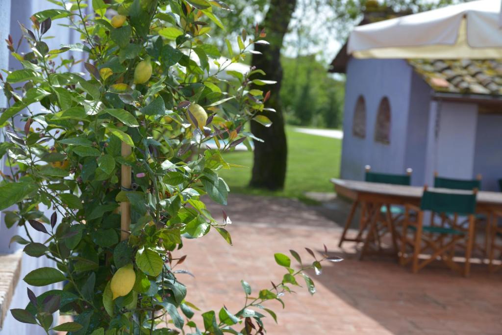 Vonkajšia záhrada v ubytovaní Casa Fontanino