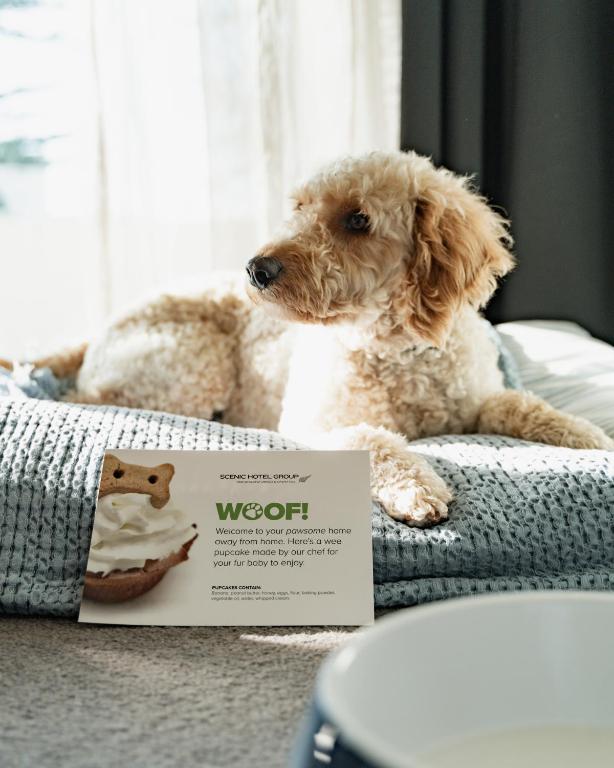 Scenic Hotel Te Pania - Resim 23