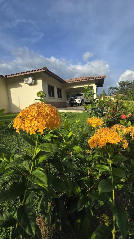 a garden with orange flowers in front of a house at Cozy, Quiet & Spacious 4bd 3 bth Full Home Gated Community in Los Algarrobos