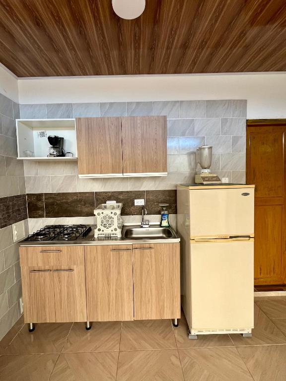 Kuchyň nebo kuchyňský kout v ubytování Apartaestudio, fresco y cómodo