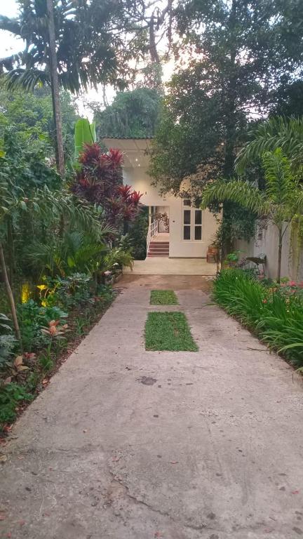 Zahrada ubytování D&D Holyday Homes
