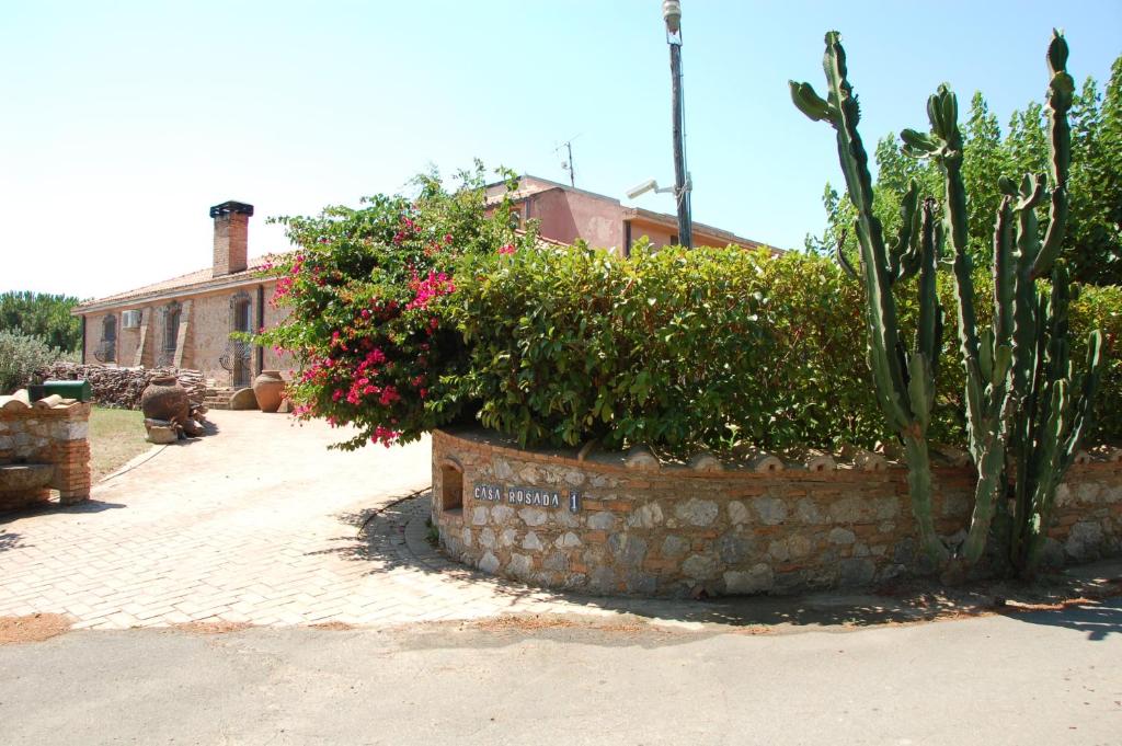 un grupo de arbustos y plantas en un patio en Borgo Piazza, en Catanzaro Lido