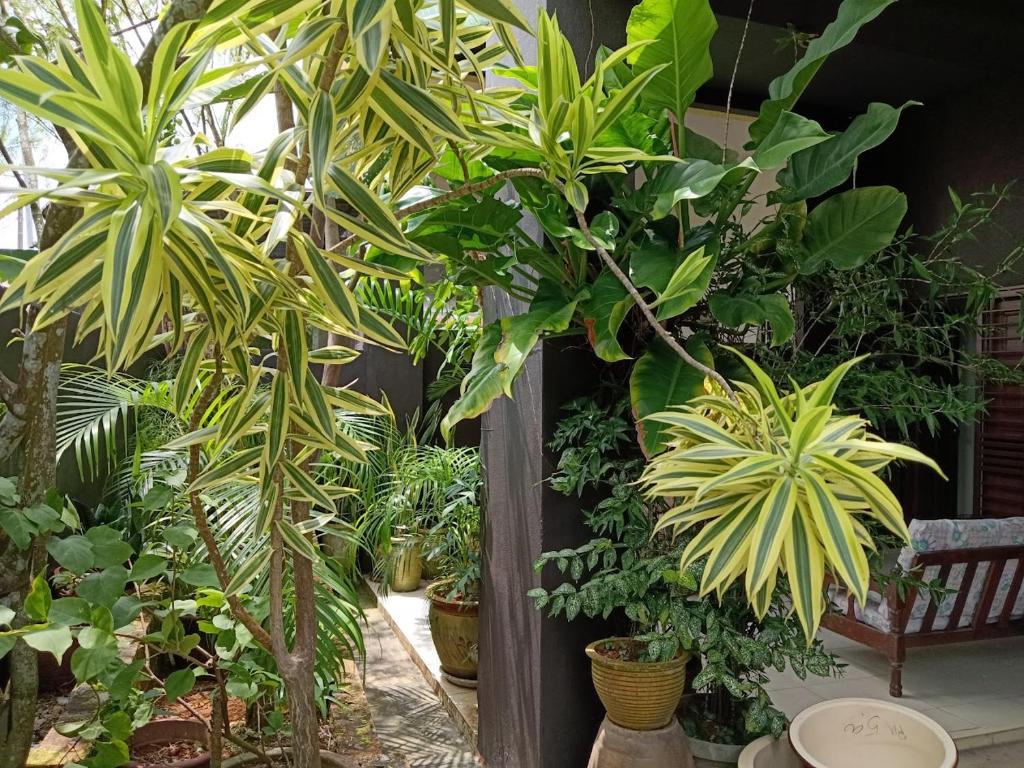 Marco Polo Rest House - Three-Bedroom House