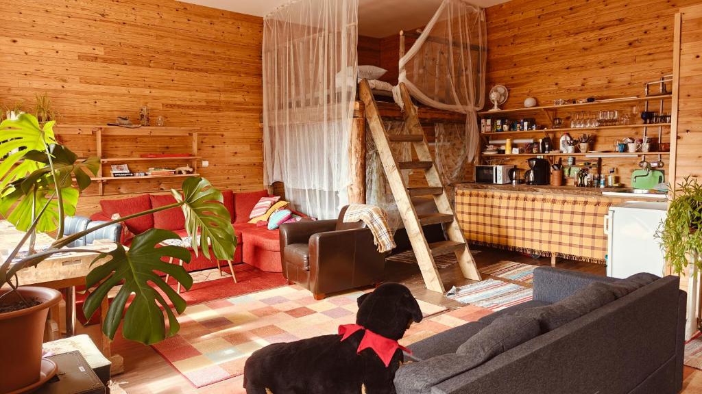 Galeriebild der Unterkunft BB Polle - with the horse view in Mikkeli