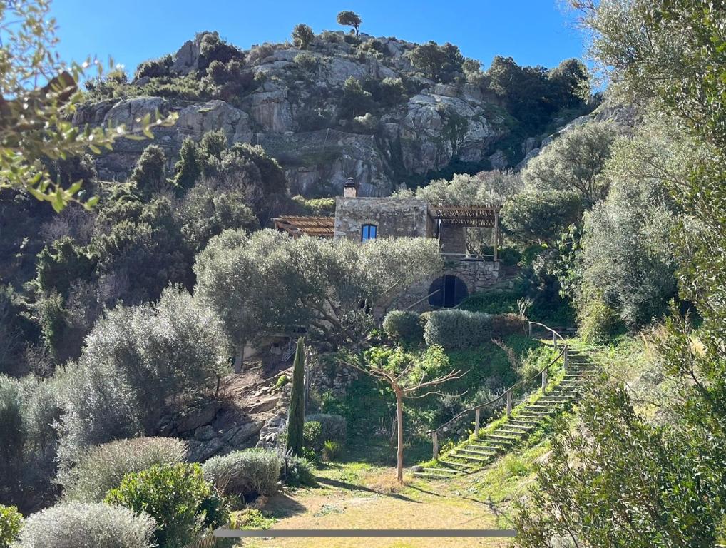 une maison à flanc de montagne dans l'établissement U mulinu di gradacce, à Lavatoggio