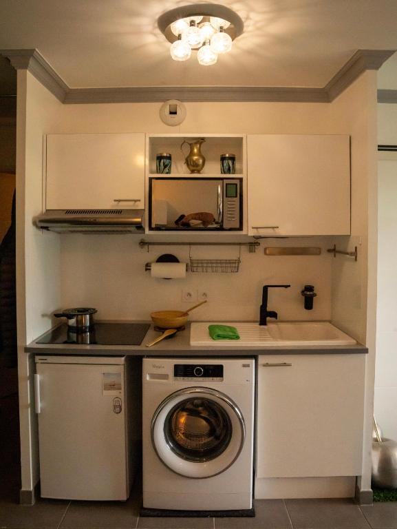 a kitchen with a washing machine and a sink at Appartement de L'Espiguette in Le Grau-du-Roi