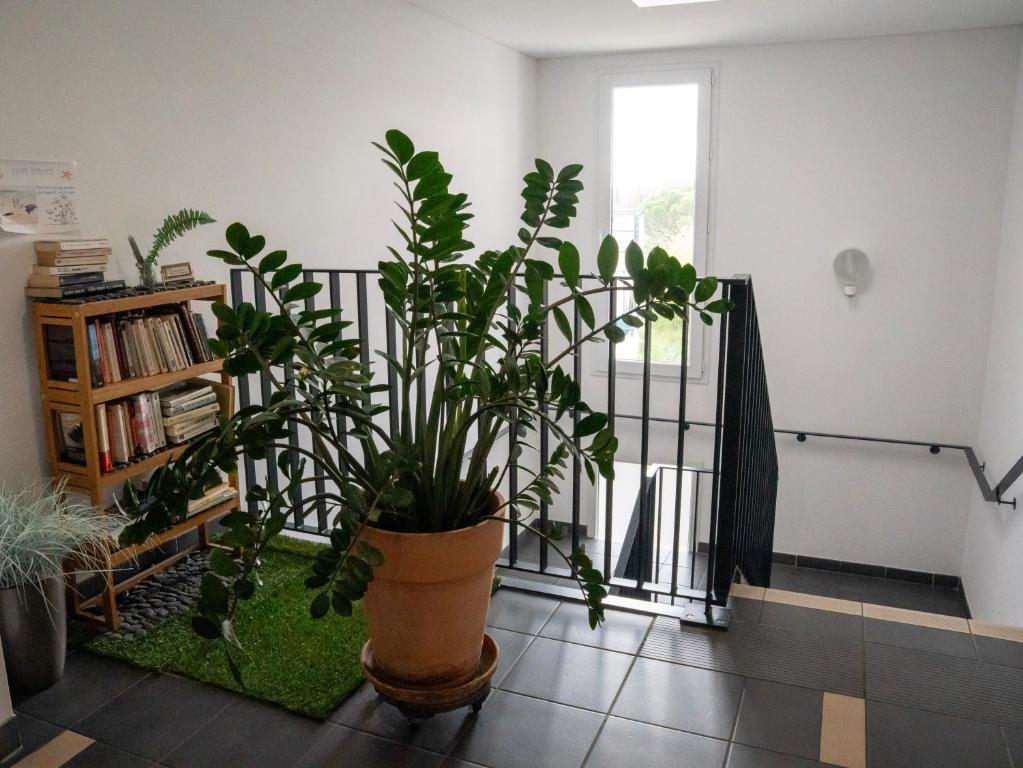 a room with a large pot of plants on the floor at Appartement de L'Espiguette in Le Grau-du-Roi