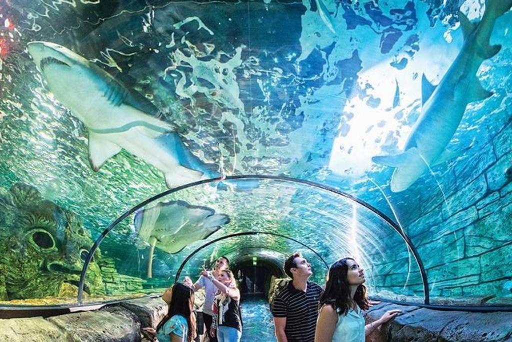 a group of people standing in front of an aquarium at Comfy Single Room in Guildford West with Easy Access - Shared Bathroom in Holroyd