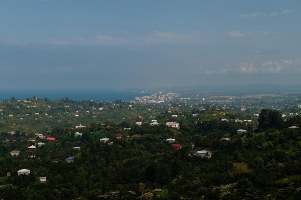 an aerial view of a city with trees and houses at Ocean Breeze - Room 1 in Ureki