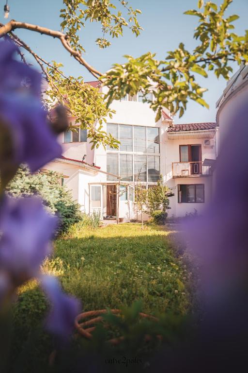 Zahrada ubytování Tunduk Hostel