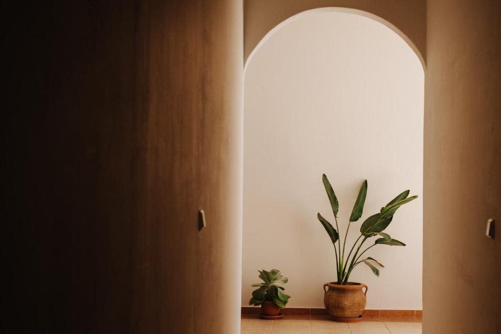 Finikas Apartments - 5