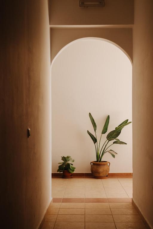 Finikas Apartments - 10