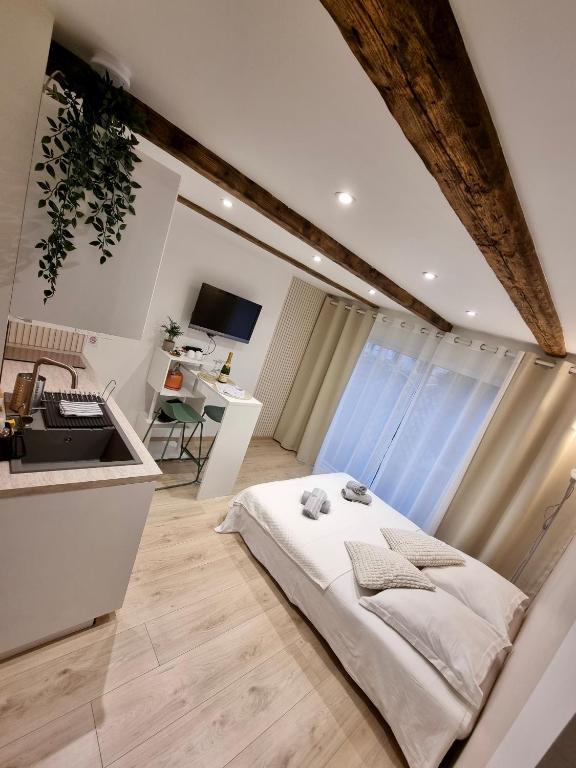 Suite cosy indépendante Evasion env Colmar – photo 13