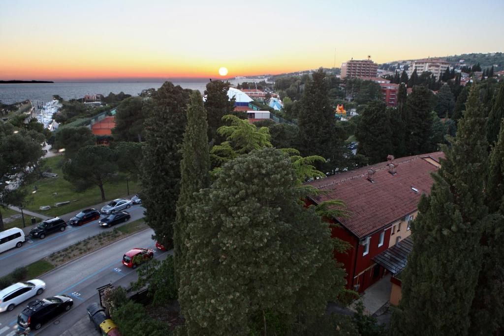 Příroda nedaleko hostelu