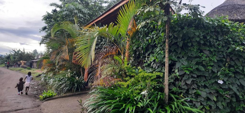 Fotografie z fotogalerie ubytování Sunscape lodge v destinaci Fort Portal